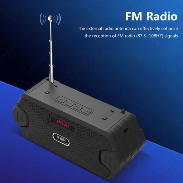 Portable Bluetooth Speaker with FM Radio & TWS Free Shipping